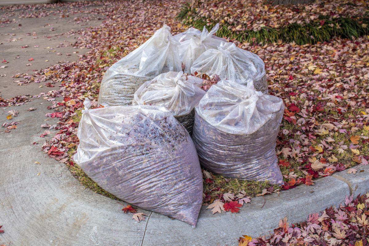 Fall and Spring Clean Up in Rockford, IL